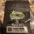 Trading: Karma Genetics Lemon Mochi