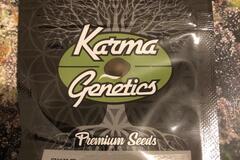 Trading: Karma Genetics Sherb Tini