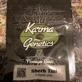 Trading: Karma Genetics Sherb Tini