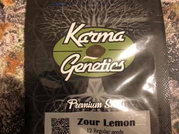 Trading: Karma Genetics Zour Lemon