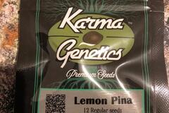 Trading: Karma Genetics Lemon Pina