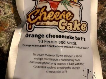 Providing ($): Concious Genetics  Orange Cheesecake Bx1