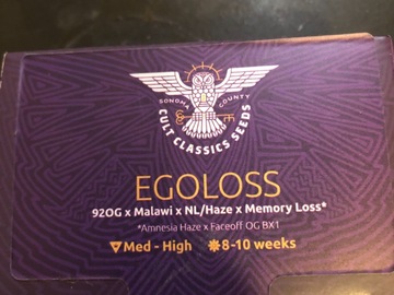 Selling: Ego Loss Cult Classic