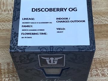 Vente: Taurus Genetics - Sealed Box of Discoberry OG 15 seeds