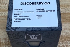 Selling: Taurus Genetics - Sealed Box of Discoberry OG 15 seeds