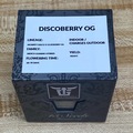 Vente: Taurus Genetics - Sealed Box of Discoberry OG 15 seeds