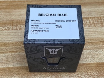 Selling: Taurus Genetics- Sealed Box of Belgian Blue 15 female seeds