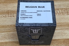 Selling: Taurus Genetics- Sealed Box of Belgian Blue 15 female seeds