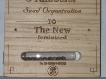Sell: Humboldt Seed Organization "The New"