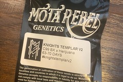 Selling: Mota Rebel - Knights Templar V2