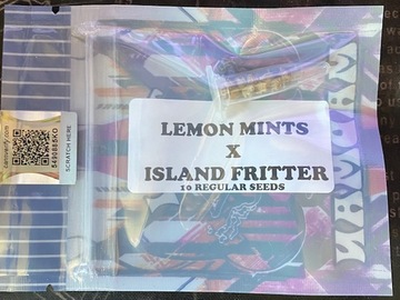 Providing ($): Tiki Madman - Lemon Mints X Island Fritter