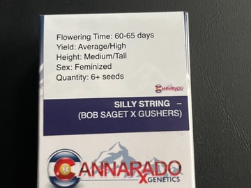 Selling: Silly String~ Cannarado