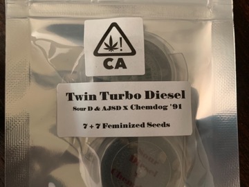 Providing ($): Twin Turbo Diesel CSI:Humboldt