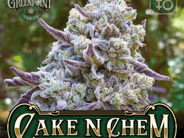 Vente: Cake ‘N Chem by Greenpoint Seed co