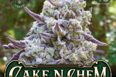 Selling: Cake ‘N Chem by Greenpoint Seed co