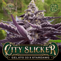 Selling: City Slicker by Greenpoint seeds