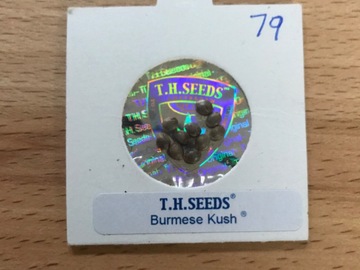 Trading: TH Seeds. Burmese Kush   Vintage
