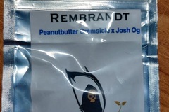 Selling: Rembrandt -Peanutbutter Cremsicle X Josh OG