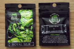 Vente: In House Royal Silk 10 Regular Seeds