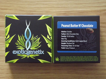 Providing ($): Exotic Genetix Peanut Butter N' Cholcolate 10 Regular Seeds