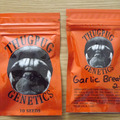 Vente: Thug Pug Garlic Breath 2.0 10 Regular Seeds