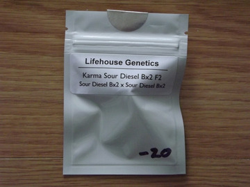 Sell: Lifehouse Genetics Karma Sour Diesel Bx2 F2 20 Regular Seeds