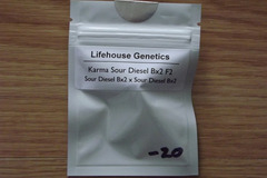 Vente: Lifehouse Genetics Karma Sour Diesel Bx2 F2 20 Regular Seeds