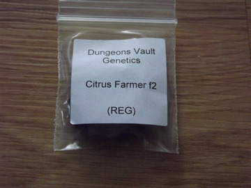 Proposer ($): Dungeon Vault Genetics F2 10 Regular Seeds