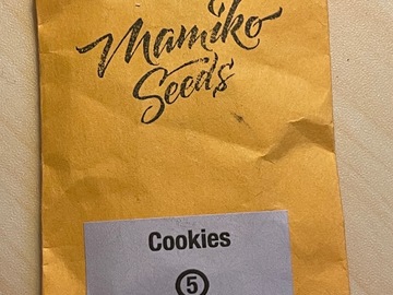 Vente: Mamiko Seeds - Cookies