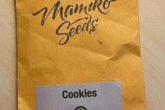 Venta: Mamiko Seeds - Cookies