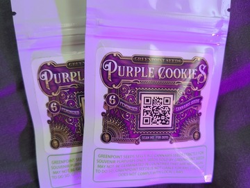 Providing ($): Purple Cookies [Feminized]
