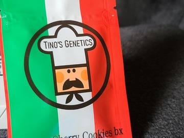 Selling: Tinos Genetics GCHCK Bx