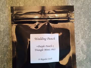Selling: Seed Junky Wedding Punch