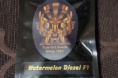 Sell: True Grit Seeds - Watermelon Diesel F1