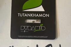 Selling: Tutankhamon- king tut 3 seed pack