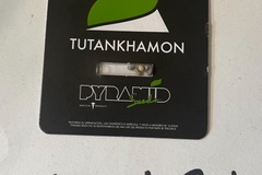 Selling: Tutankhamon- king tut 5 seed pack