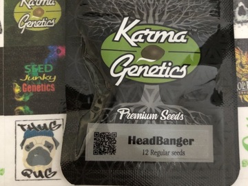 Providing ($): Headbanger - Karma Genetics