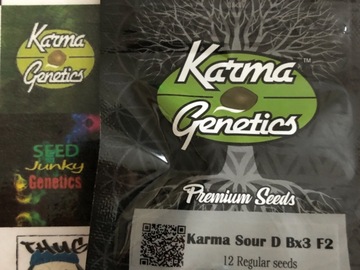 Providing ($): Sour Diesel Bx3 f2 - Karma Genetics