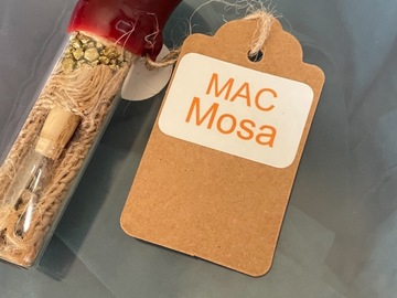 Selling: MAC MOSA by Sunken Treasure Seeds