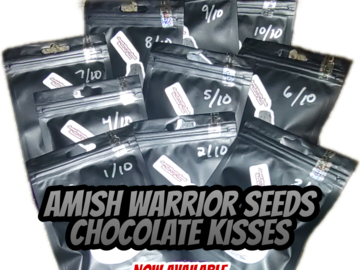 Proporcionando ($): Amish Warrior Seeds - Chocolate Kisses