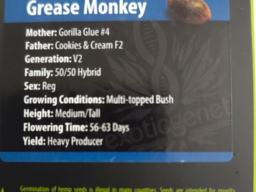 Providing ($): Grease Monkey F1 V2