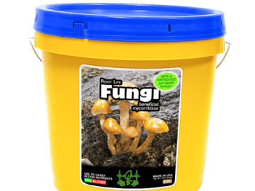 Vente: Key To Life - Root Life Fungi