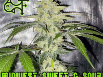 Vente: Midwest Sweet & Sour