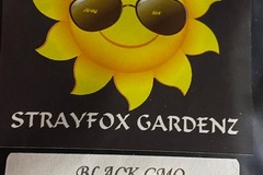 Sell: Stray Fox Gardenz - Black GMO