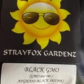 Sell: Stray Fox Gardenz - Black GMO