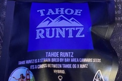 Vente: BCS Bay Area Can Seeds - Tahoe Runtz