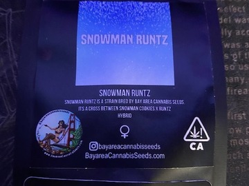 Vente: BCS Bay Area Can Seeds - Snowman Runtz