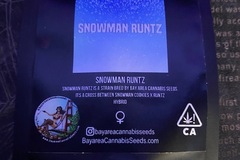 Sell: BCS Bay Area Can Seeds - Snowman Runtz