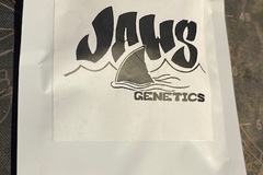 Sell: Jaws Genetics - Fruity Pebble OG F4