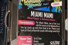 Venta: Solfire Genetics - Miami Mami